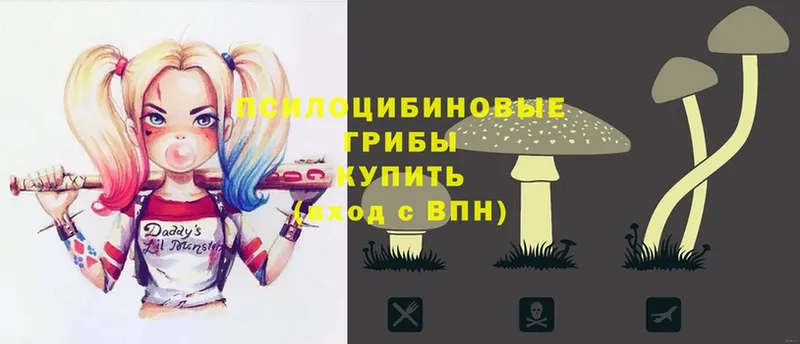 закладки  omg ТОР  Псилоцибиновые грибы Cubensis  Пятигорск 