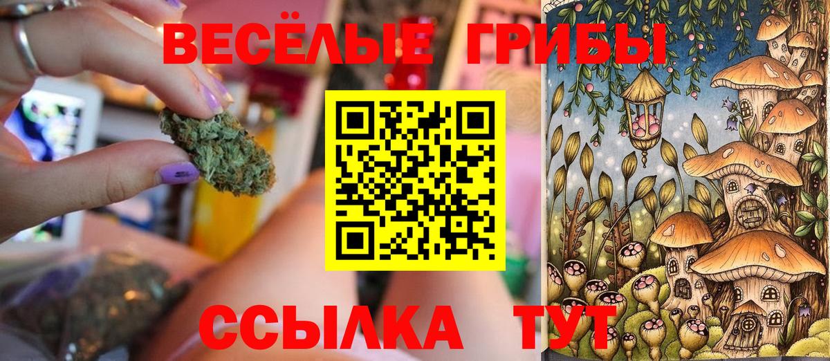 наркотики  Псилоцибиновые грибы Psilocybine cubensis  Псилоцибиновые грибы Magic Shrooms  Вход с VPN  Пятигорск 