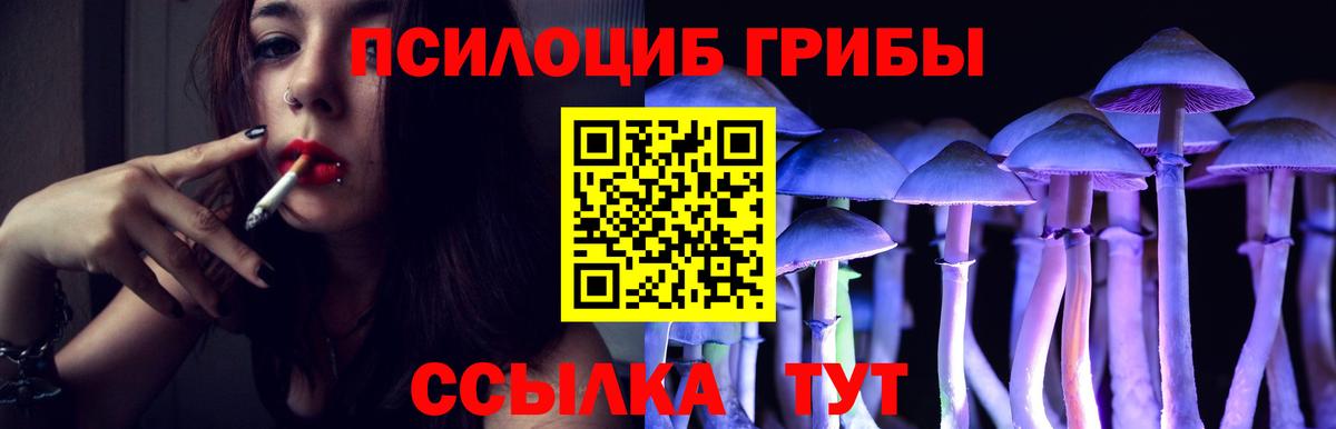 Галлюциногенные грибы Psilocybe  купить наркотик  Пятигорск 